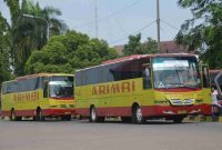 Bus Arimbi