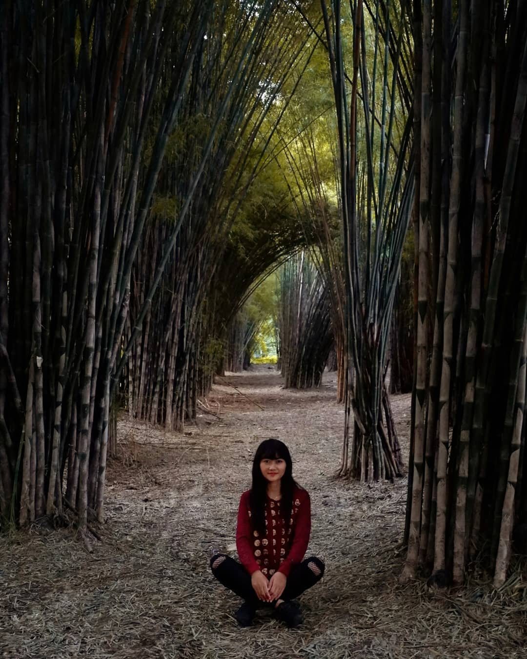 taman bambu