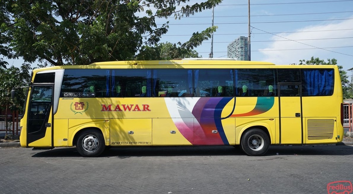 bus Mawar